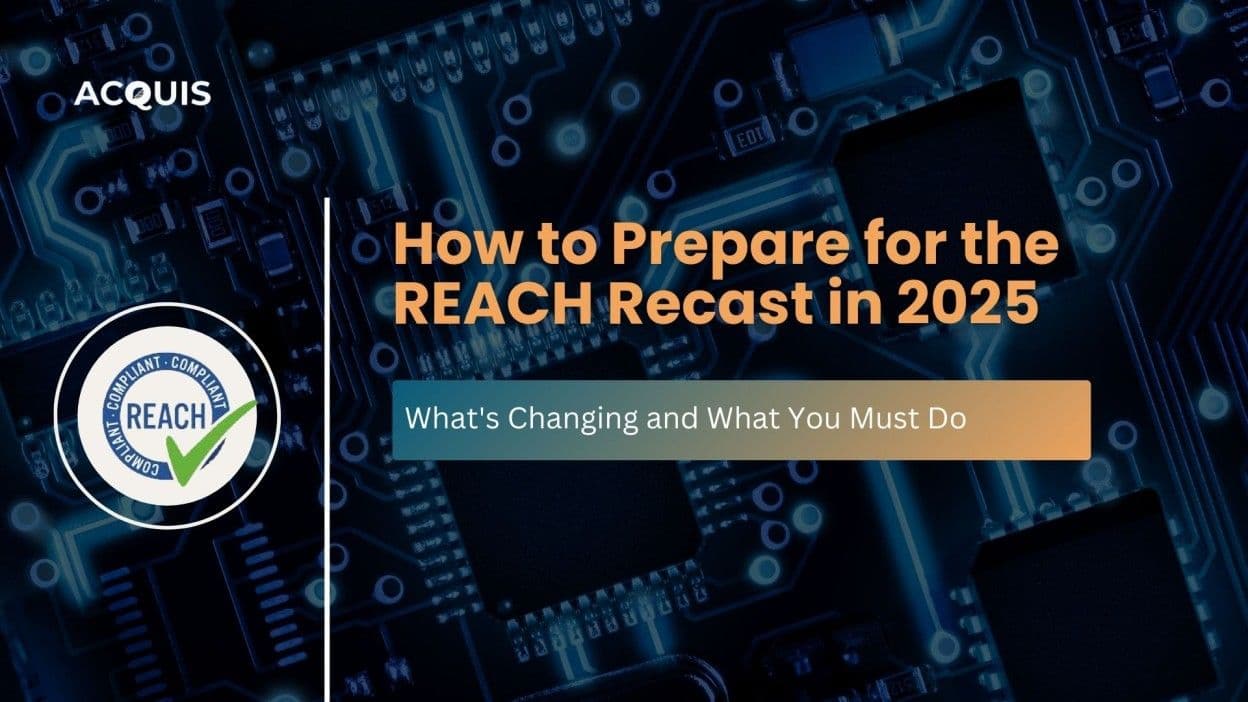 How to Prepare for the REACH Recast in 2025