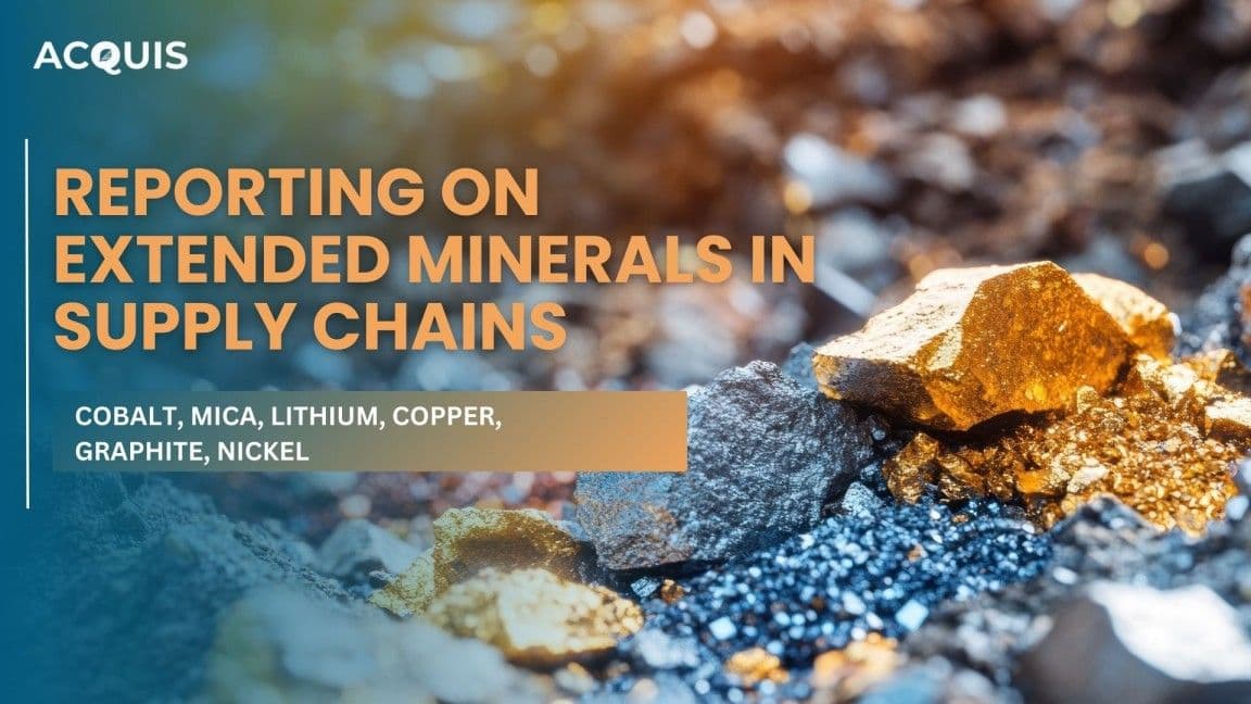 Reporting on Extended Minerals