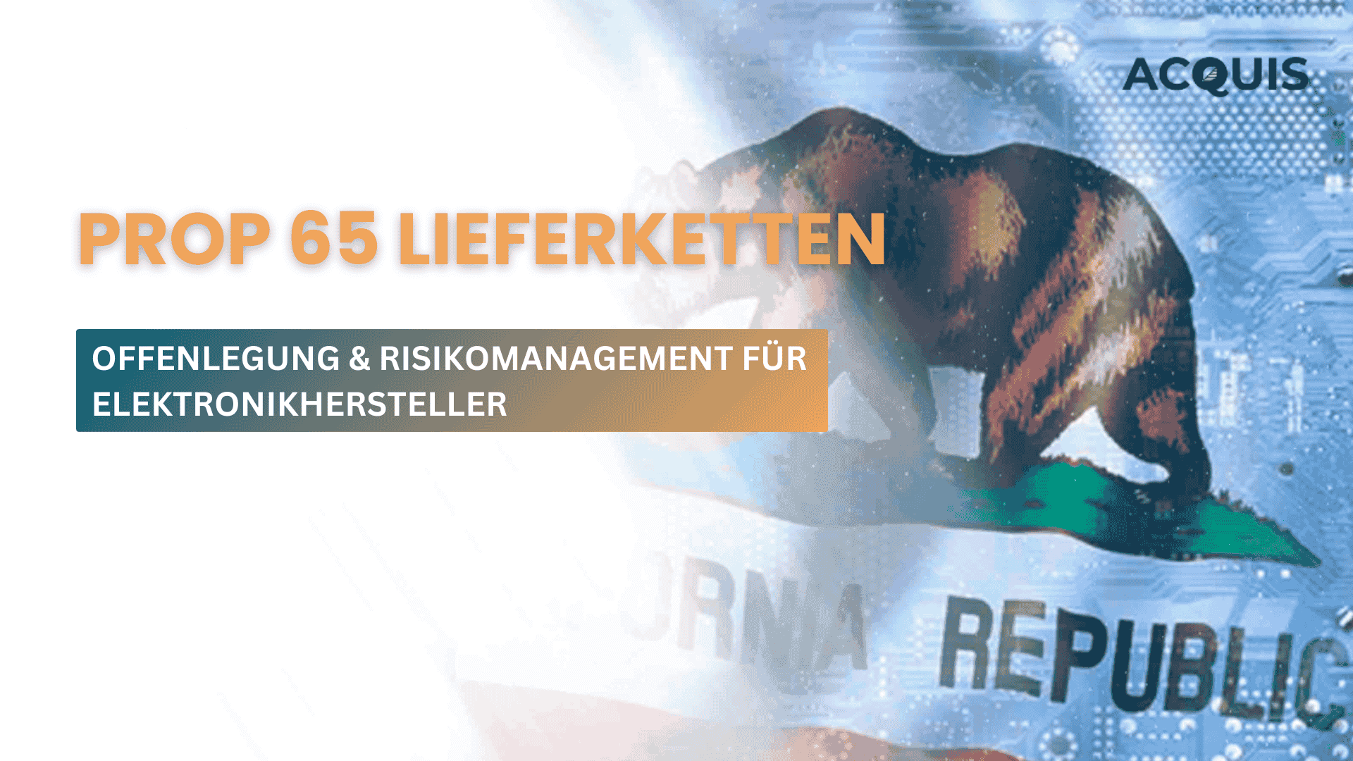 blog banner (18).png