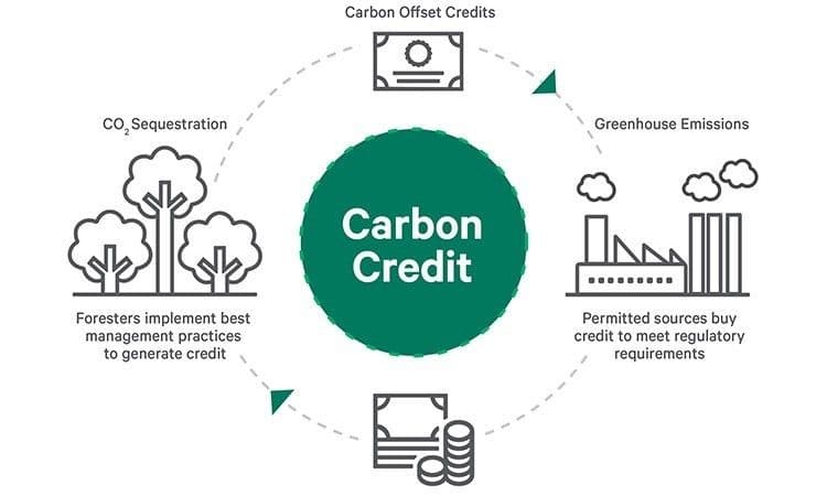carbon market 4.jpg