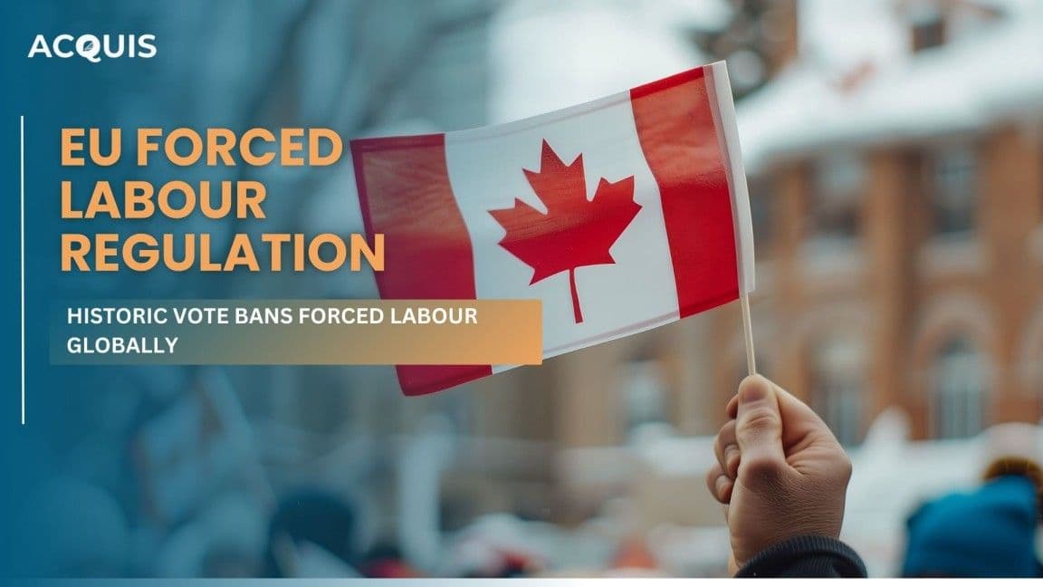 The European Parliament's Historic Vote